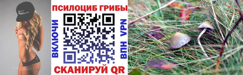 Псилоцибиновые грибы прущие грибы  мега маркетплейс  Суздаль 